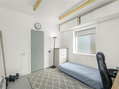 Picture 23